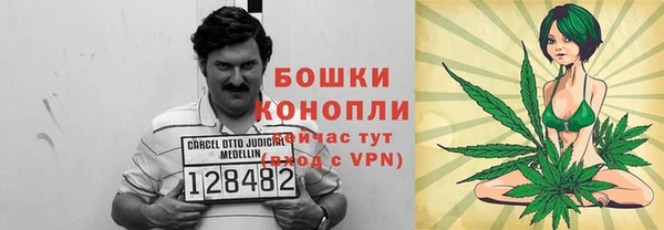 гидра Абаза