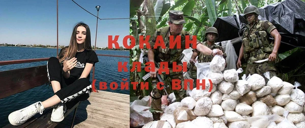 гидра Абаза