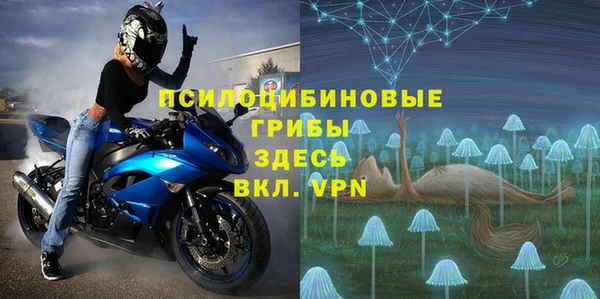 гидра Абаза