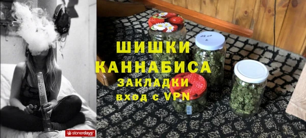 гидра Абаза