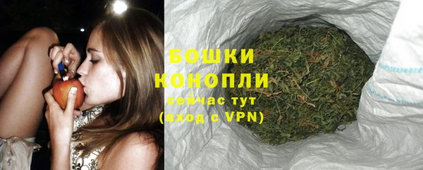 мдпв Осинники