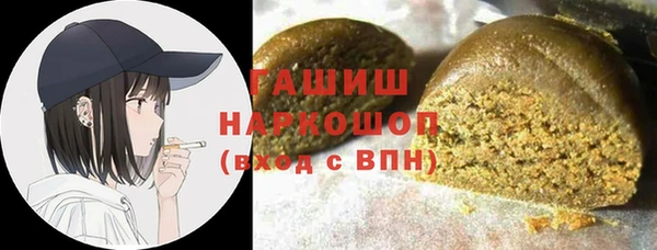 гидра Абаза